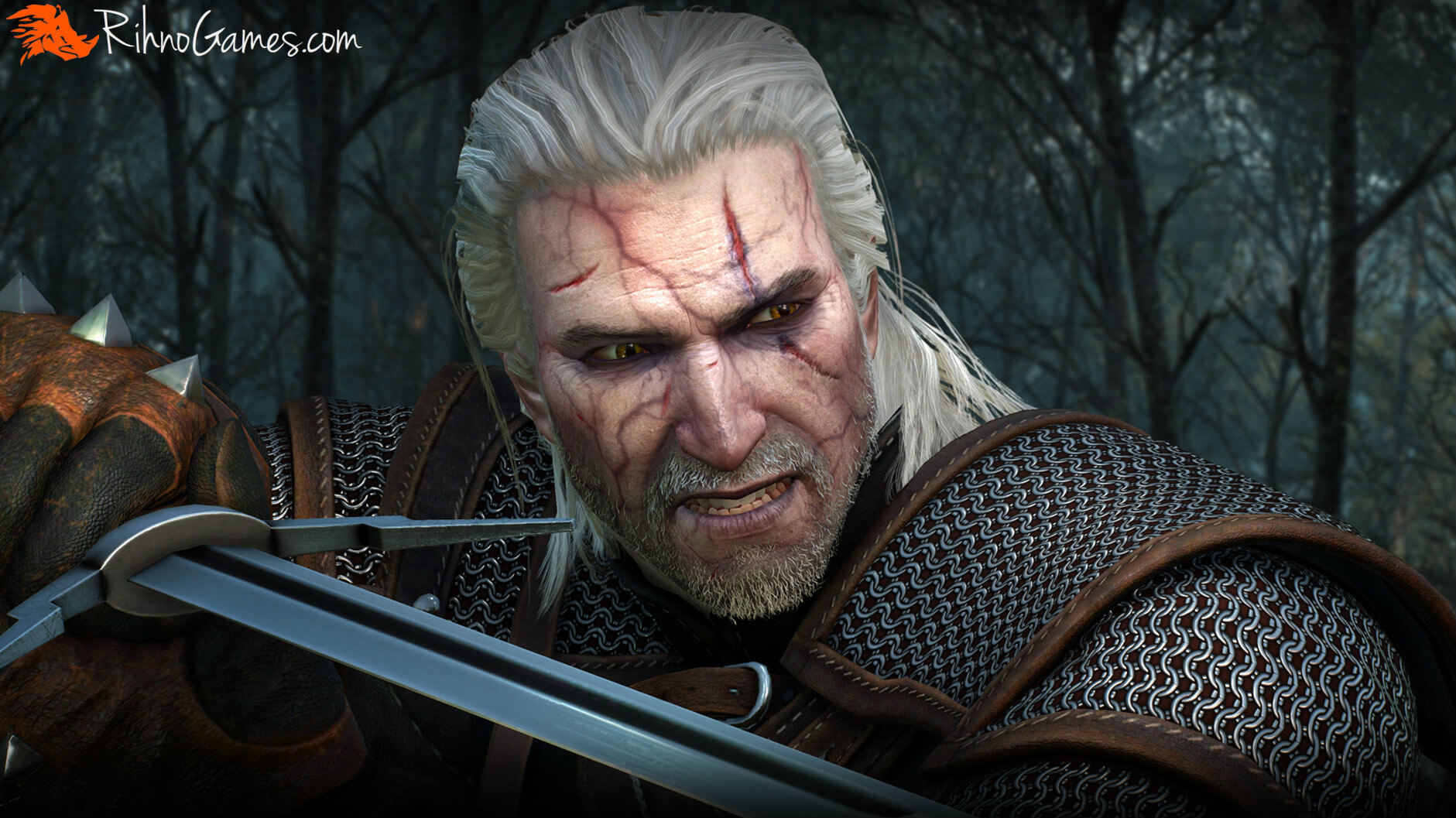 Install The Witcher 3