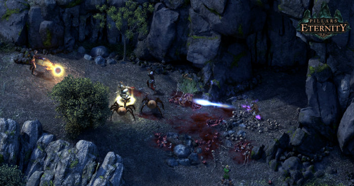 Pillars of Eternity Game